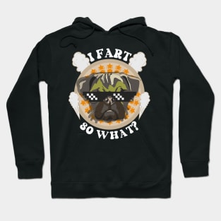 Funny quote pug farting Hoodie